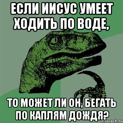 Если Иисус умеет ходить по воде, то может ли он, бегать по каплям дождя?, Мем Филосораптор