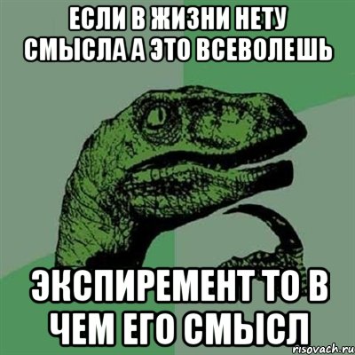 если в жизни нету смысла а это всеволешь экспиремент то в чем его смысл, Мем Филосораптор