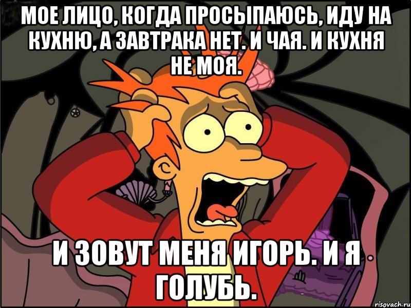 Мое лицо, когда просыпаюсь, иду на кухню, а завтрака нет. И чая. И кухня не моя. И зовут меня Игорь. И я голубь., Мем Фрай в панике