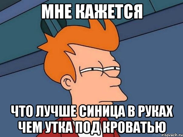 мне кажется что лучше синица в руках чем утка под кроватью, Мем  Фрай (мне кажется или)