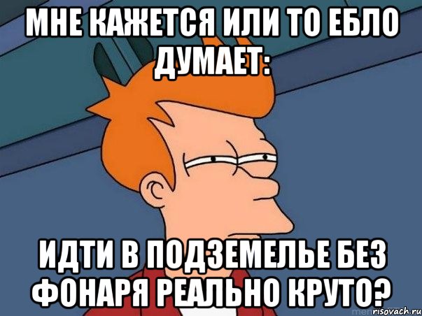 мне кажется или то ебло думает: идти в подземелье без фонаря реально круто?, Мем  Фрай (мне кажется или)