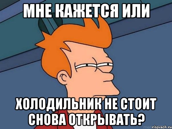 мне кажется или холодильник не стоит снова открывать?, Мем  Фрай (мне кажется или)