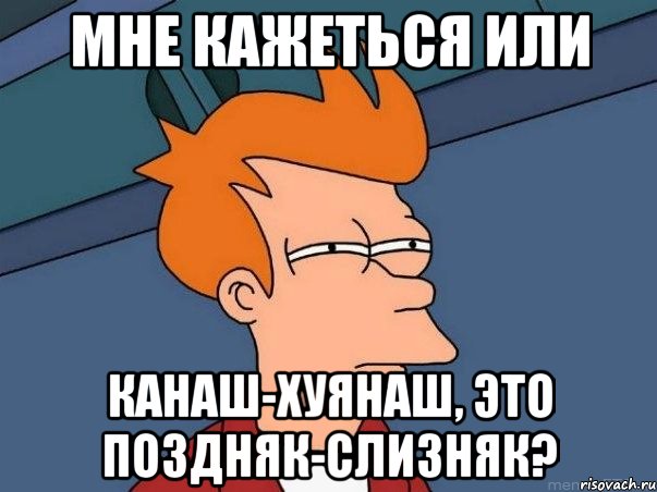 мне кажеться или канаш-хуянаш, это поздняк-слизняк?, Мем  Фрай (мне кажется или)