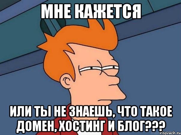 мне кажется или ты не знаешь, что такое домен, хостинг и блог???, Мем  Фрай (мне кажется или)