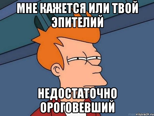 мне кажется или твой эпителий недостаточно ороговевший, Мем  Фрай (мне кажется или)