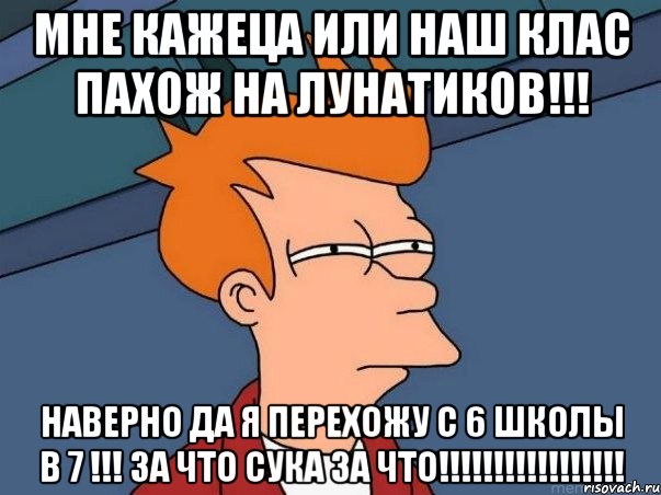 Мне кажеца или наш клас пахож на лунатиков!!! Наверно да я перехожу с 6 школы в 7 !!! ЗА ЧТО СУКА ЗА ЧТО!!!!!!!!!!!!!!!!!, Мем  Фрай (мне кажется или)