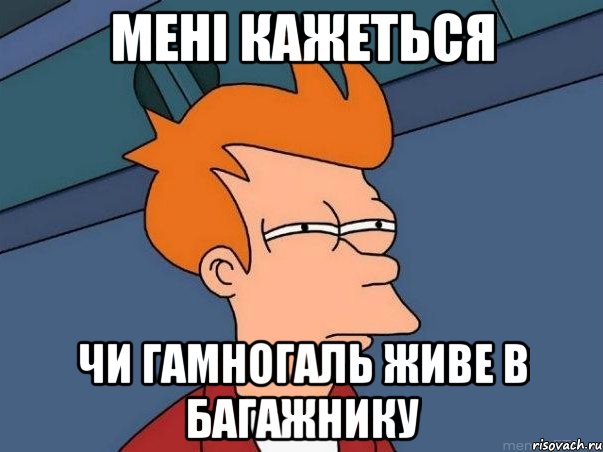 Мені кажеться чи Гамногаль живе в багажнику, Мем  Фрай (мне кажется или)