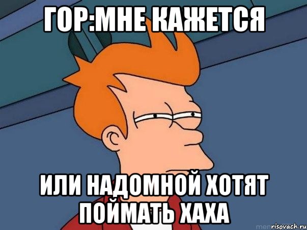 Гор:Мне кажется или надомной хотят поймать хаха, Мем  Фрай (мне кажется или)