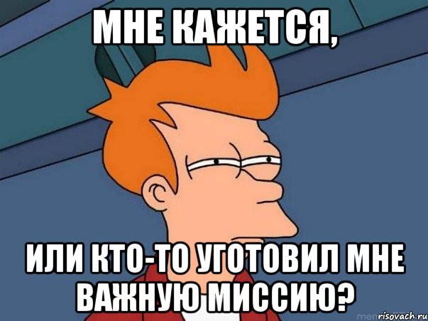 Мне кажется, или кто-то уготовил мне важную миссию?, Мем  Фрай (мне кажется или)