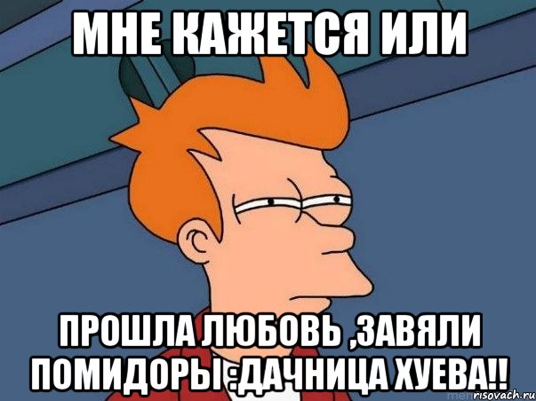 мне кажется или прошла любовь ,завяли помидоры :дачница хуева!!, Мем  Фрай (мне кажется или)