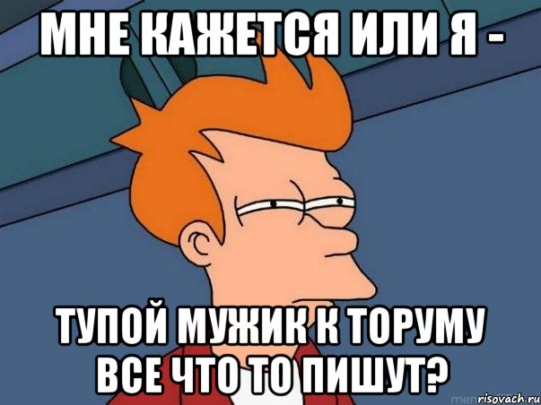 мне кажется или я - тупой мужик к торуму все что то пишут?, Мем  Фрай (мне кажется или)