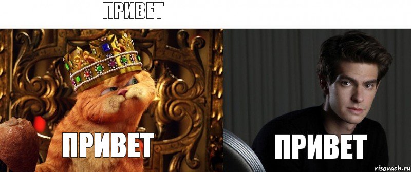 привет привет привет