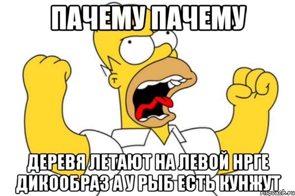 пачему пачему деревя летают на левой нрге дикообраз а у рыб есть кунжут, Мем Разъяренный Гомер