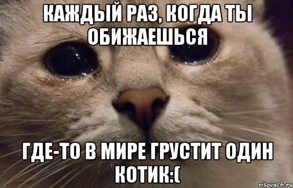 Каждый раз, когда ты обижаешься Где-то в мире грустит один котик:(, Мем   В мире грустит один котик