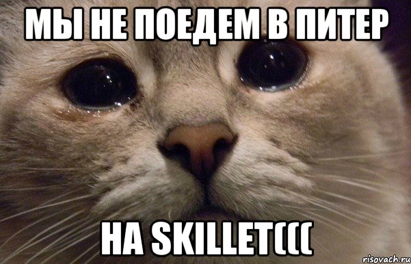 мы не поедем в Питер на Skillet(((, Мем   В мире грустит один котик