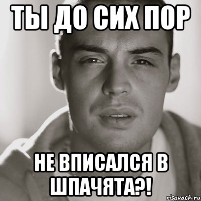 ты до сих пор не вписался в шпачята?!, Мем Гуф