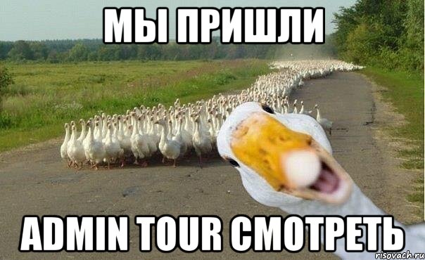 мы пришли admin tour смотреть, Мем гуси