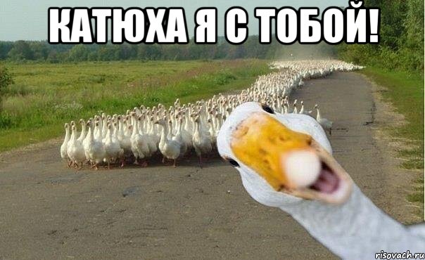 катюха я с тобой! , Мем гуси