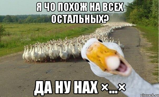 я чо похож на всех остальных? да ну нах ×…×, Мем гуси