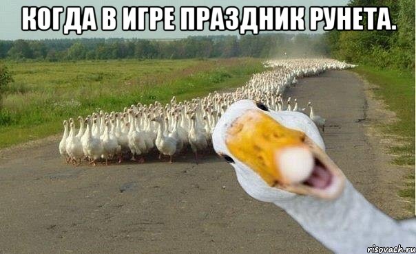 Когда в игре праздник Рунета. , Мем гуси