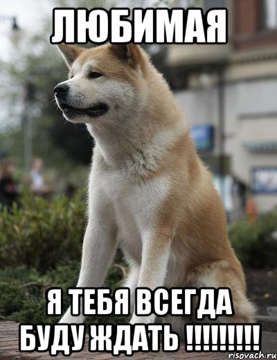 ЛЮБИМАЯ Я ТЕБЯ ВСЕГДА БУДУ ЖДАТЬ !!!!!!!!!