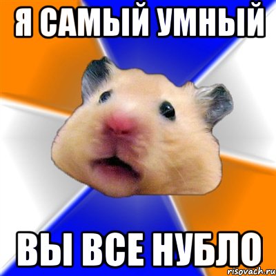 я самый умный вы все нубло, Мем Хомяк