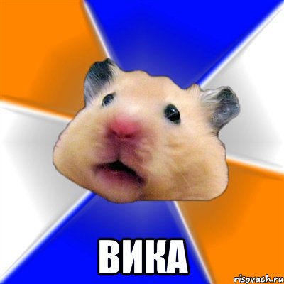  вика, Мем Хомяк