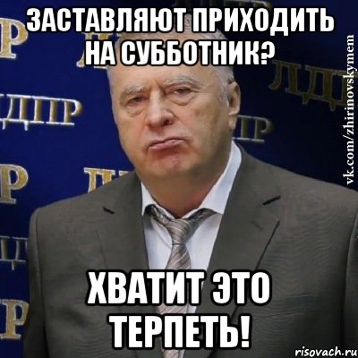 заставляют приходить на субботник? хватит это терпеть!, Мем Хватит это терпеть (Жириновский)