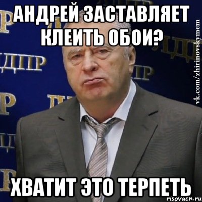 андрей заставляет клеить обои? хватит это терпеть, Мем Хватит это терпеть (Жириновский)