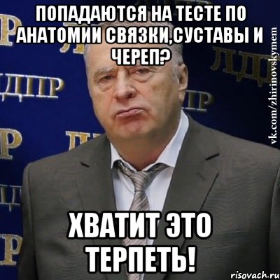 попадаются на тесте по анатомии связки,суставы и череп? хватит это терпеть!, Мем Хватит это терпеть (Жириновский)