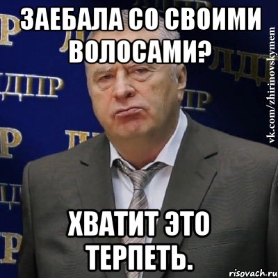 заебала со своими волосами? хватит это терпеть., Мем Хватит это терпеть (Жириновский)