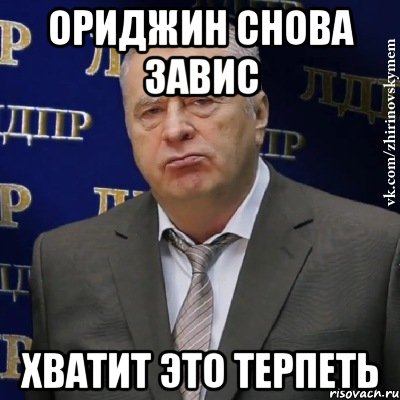 ориджин снова завис хватит это терпеть, Мем Хватит это терпеть (Жириновский)