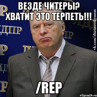 везде читеры? хватит это терпеть!!! /rep, Мем Хватит это терпеть (Жириновский)