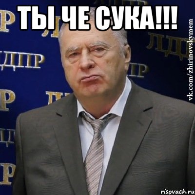 Ты че сука!!! , Мем Хватит это терпеть (Жириновский)