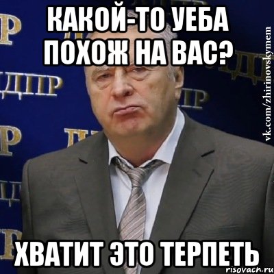 какой-то уеба похож на вас? хватит это терпеть, Мем Хватит это терпеть (Жириновский)