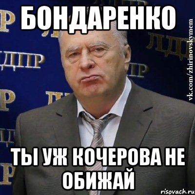 Бондаренко Ты уж Кочерова не обижай, Мем Хватит это терпеть (Жириновский)