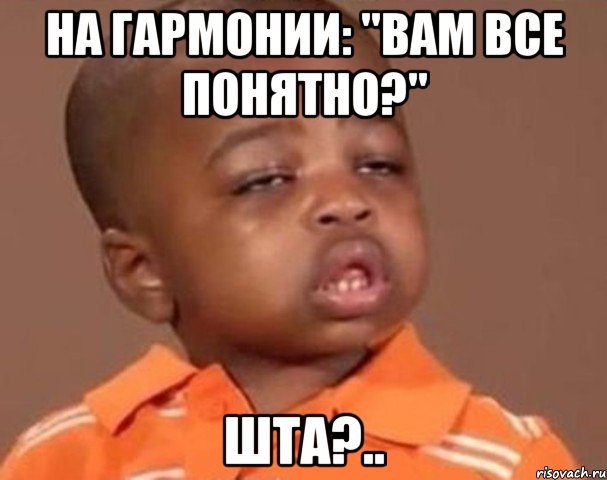 на гармонии: "вам все понятно?" шта?.., Мем  Какой пацан (негритенок)