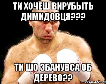 ти хочеш вирубыть Димидовця??? ти шо эбанувса об дерево??, Мем каменная голова