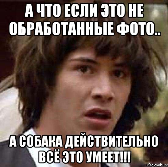 а что если это не обработанные фото.. а собака действительно всё это умеет!!!, Мем А что если (Киану Ривз)