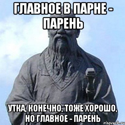 главное в парне - парень утка, конечно, тоже хорошо, но главное - парень, Мем  конфуций