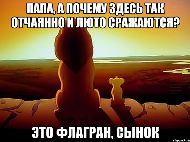 папа, а почему здесь так отчаянно и люто сражаются? это флагран, сынок, Мем  король лев