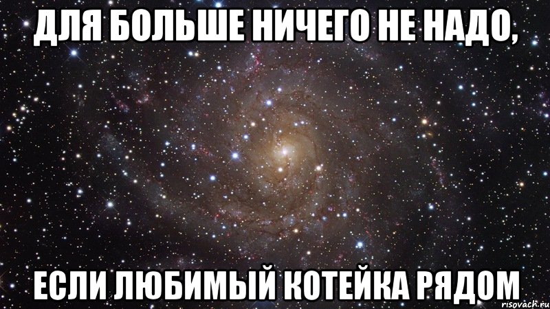 для больше ничего не надо, если любимый котейка рядом, Мем  Космос (офигенно)