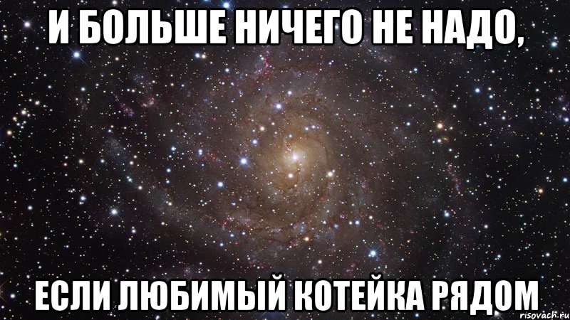 и больше ничего не надо, если любимый котейка рядом, Мем  Космос (офигенно)