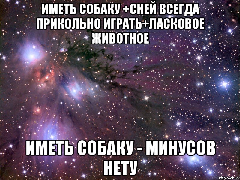 иметь собаку +сней всегда прикольно играть+ласковое животное иметь собаку - минусов нету, Мем Космос