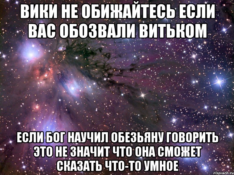 вики не обижайтесь если вас обозвали витьком если бог научил обезьяну говорить это не значит что она сможет сказать что-то умное, Мем Космос