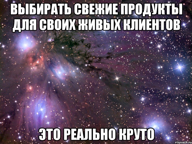 выбирать свежие продукты для своих живых клиентов это реально круто, Мем Космос