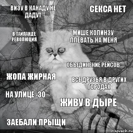 визу в канаду не дадут все друзья в других городах мише колинзу плевать на меня заебали прыщи жопа жирная секса нет живу в дыре в таиланде революция на улице -30 объединение рейсов, Комикс  кот безысходность