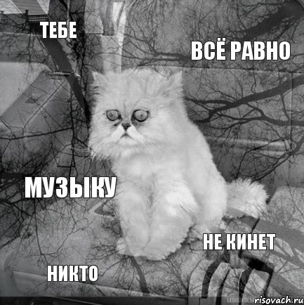 Тебе всё равно никто не кинет музыку