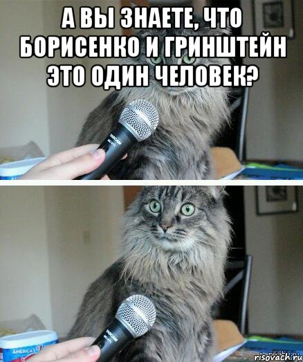 а вы знаете, что борисенко и гринштейн это один человек? , Комикс  кот с микрофоном