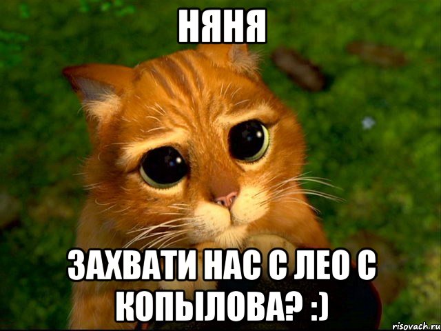 няня захвати нас с лео с копылова? :), Мем кот из шрека